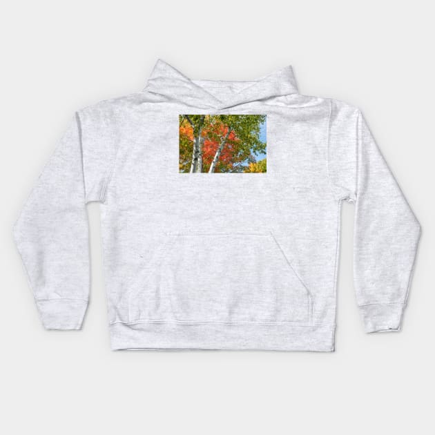 Birch trees in fall Kids Hoodie by brians101